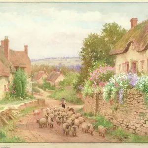 Ebrington nr. Chipping Campden