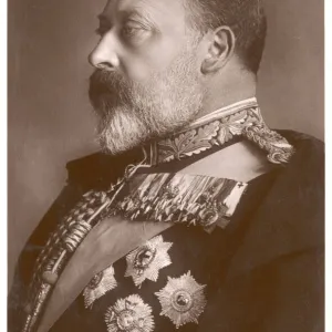 Edward Vii / 1910 Postcard