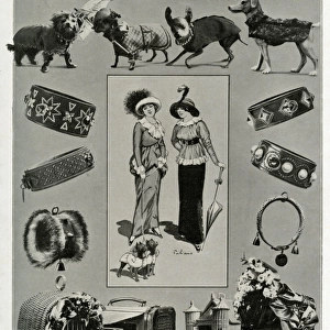 Edwardian accessories for dogs 1912