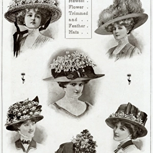 Edwardian floral and feathered hats 1909