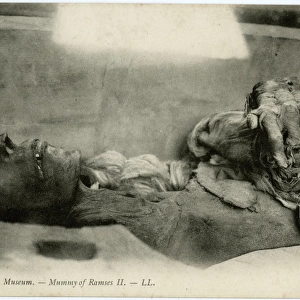 Egypt, Africa - The Mummy of Rameses II at Cairo