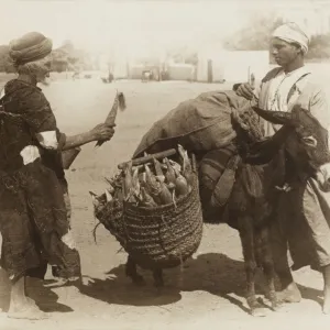 Egypt - buying corn from a donkeys panniers