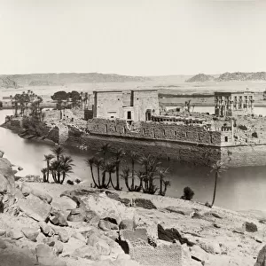 Egypt c. 1880s - island of Philae in the River Nile, Egypt