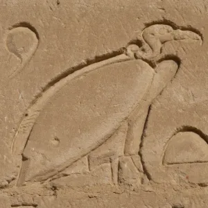 Egypt. Edfu. Temple of Horus. Vulture. Relief