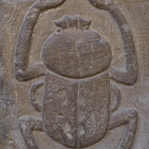 Egypt. Temple of Horus. Relief depicting a beetle. Edfu