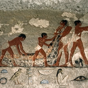 Egyptian Art. Crocodiles hunt. Relief. Mastaba. Necropolis