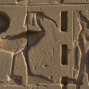 Egyptian Art. Karnak. Relief with an Ibis