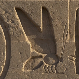 Egyptian Art. Relief depicting a bee and a rush symbols of L