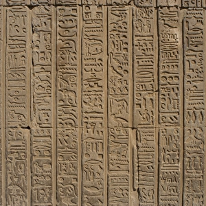 Egyptian Art. Temple of Kom Ombo. Egyptian hieroglyphs. Reli
