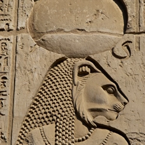 Egyptian Art. Temple of Kom Ombo. Sekhmet, the lion-headed g