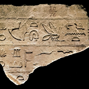 Egyptian hieroglyph engraved in stone. National Archaeologic