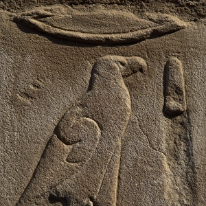 Egyptian hieroglyph shaped like an eagle