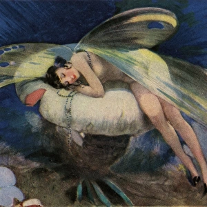 Elegant fairy asleep on a mushroom