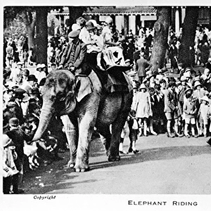 Elephant riding at London Zoo