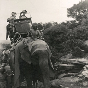 Elephant Transport C1920
