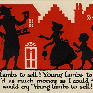 ELH. Young lambs to sell