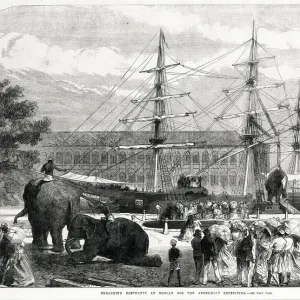 Embarking elephants at Bombay for the Abyssinian Expedition