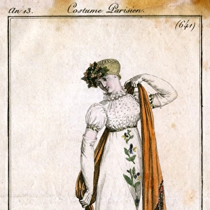 Embroidered Gown 1805