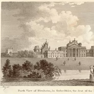 England / Blenheim Palace