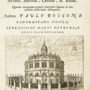 Engraving depicting the Sheldonian Theatre Engraving depicting the Sheldonian Theatre
