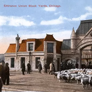 Entrance to Union Stock Yards, Chicago, Illinois, USA