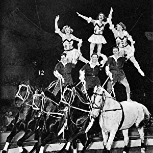 Equestrian Acrobats at the Circus, 1948