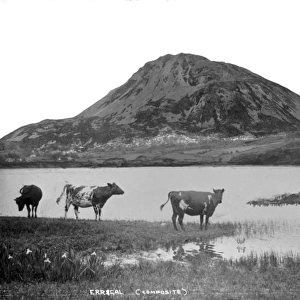 Errigal (Composite) a Composite View of the Errigal