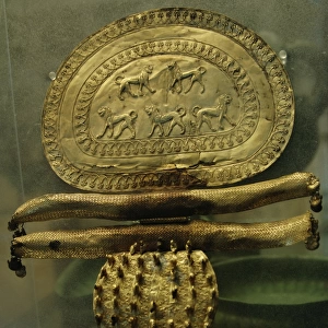 Etruscan Art. Italy. Great gold fibula decorated with lions