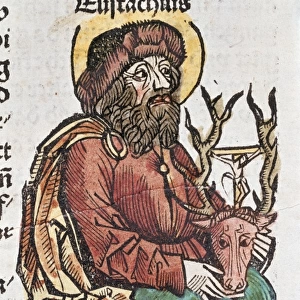 Eustachius