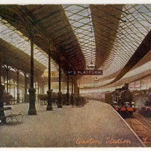 Euston Platform & Trains