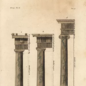 Examples of the proportions of Doric columns, Greek