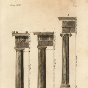 Examples of the proportions of Doric columns, Greek