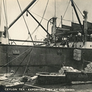 Exporting Ceylon Tea at Colombo Docks - Sri Lanka
