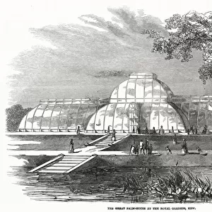 Exterior of the Great Palm-House at Royal Gardens. Date: 1848