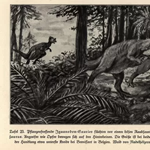 Extinct Iguanodons fleeing a predatory Megalosaurus