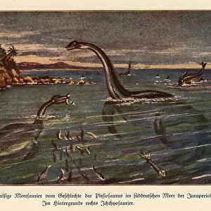 Extinct Plesiosaurs and Ichthyosaur