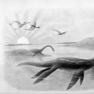 Extinct / Plesiosaurus