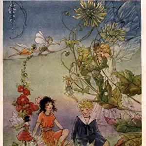Fairies from every Flower