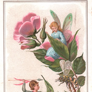 Fairies with flower and insect on a Christmas card