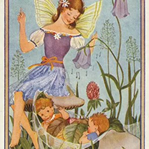 Fairies & flowers