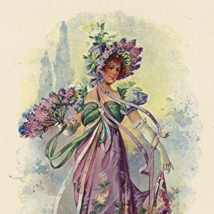 Fairies of the Garden - The Lilac