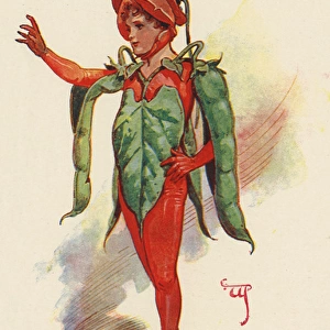 Fairies of the Garden - The Scarlet Runner
