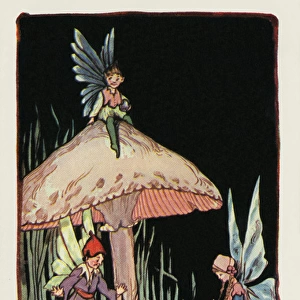 The fairies market