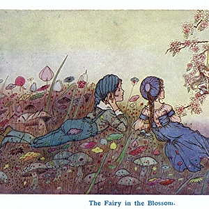 The Fairy in the Blossom