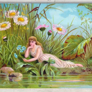 Fairy on a riverbank on a greetings card