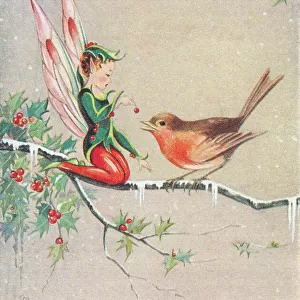 Fairy & Robin