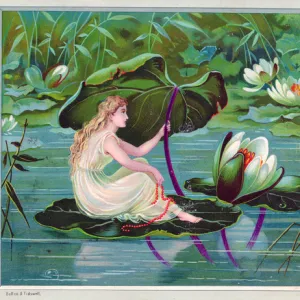 Fairy sheltering under lily leaf on a greetings card