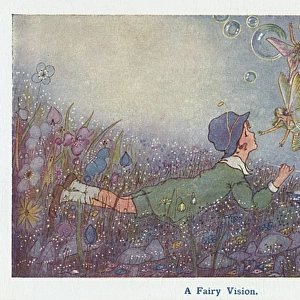 A Fairy Vision