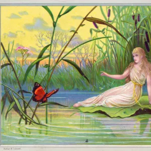 Fairy watching a butterfly on a greetings card