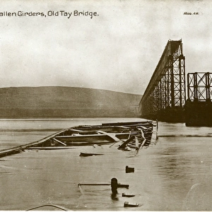 Fallen Girders, Tay Bridge, Aberdeenshire